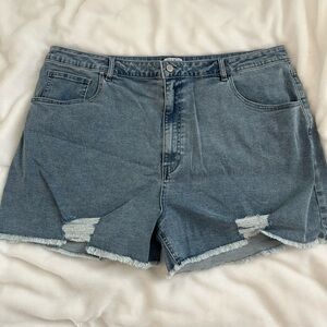 White Birch Denim Shorts, size 3X